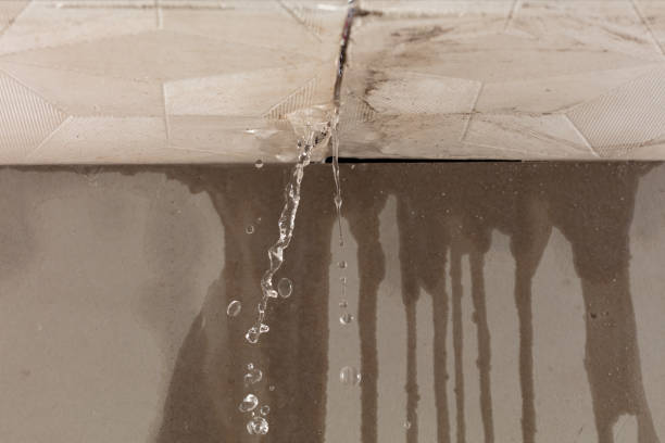 Professional Structural Drying technician working in Black Earth, WI